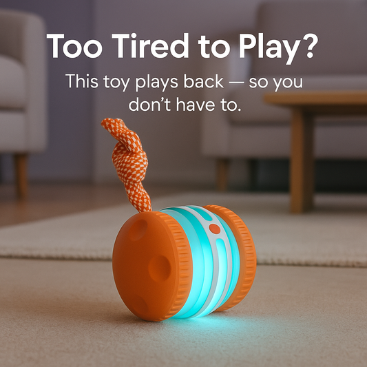BusyBall Interactive Dog Ball